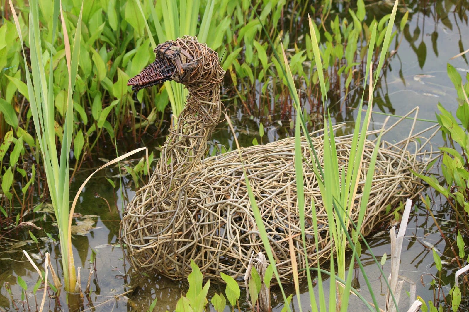 Anne Mette Hjornholm, Willow Baset Weaver